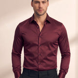 Dress Shirt, close-up of the upper body