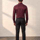 Men's Slim Fit Stretch Dress Shirt, back view, full length